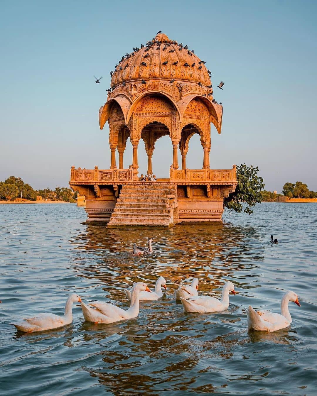 08 Days Jaisalmer-Jodhpur-Mount Abu-Udaipur & Chittorgarh Tour package