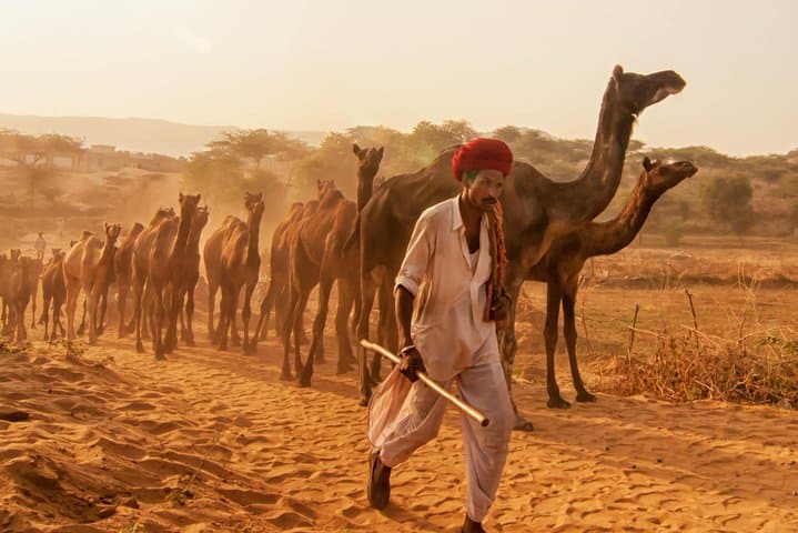 Day 5 — Jaisalmer – Bikaner