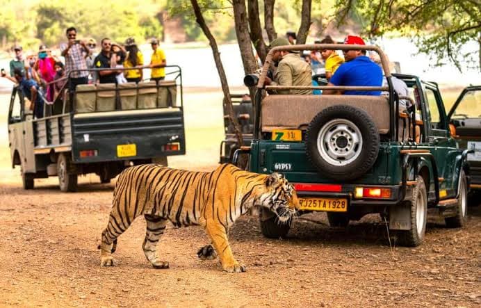 08 Days Jaipur-Ranthambhore-Udaipur-Mount Abu & Jodhpur Tour package