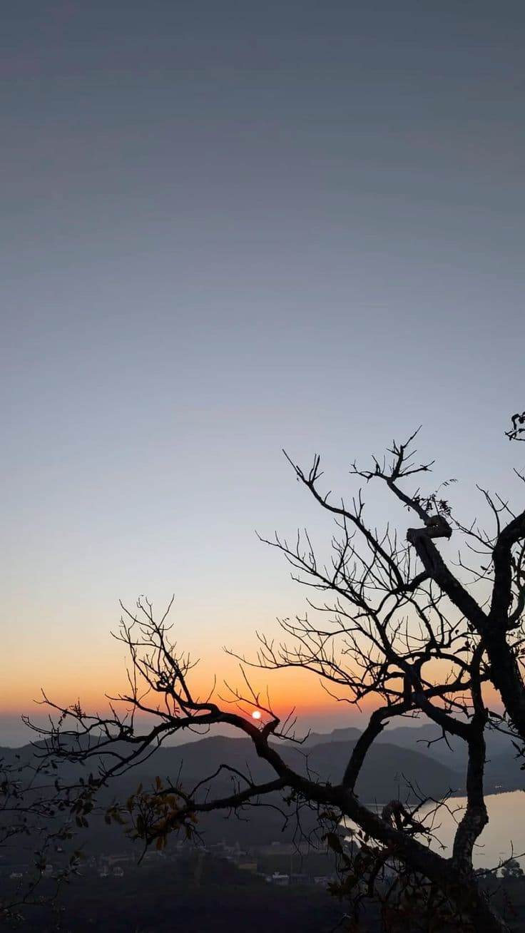Day 5 — Udaipur – Mount Abu Sightseeing