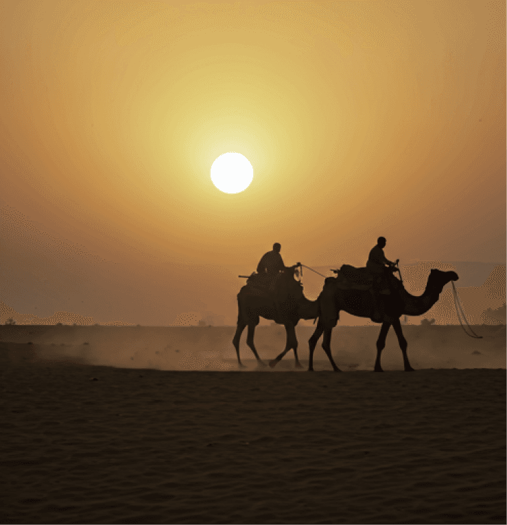Sam Sands Dusk